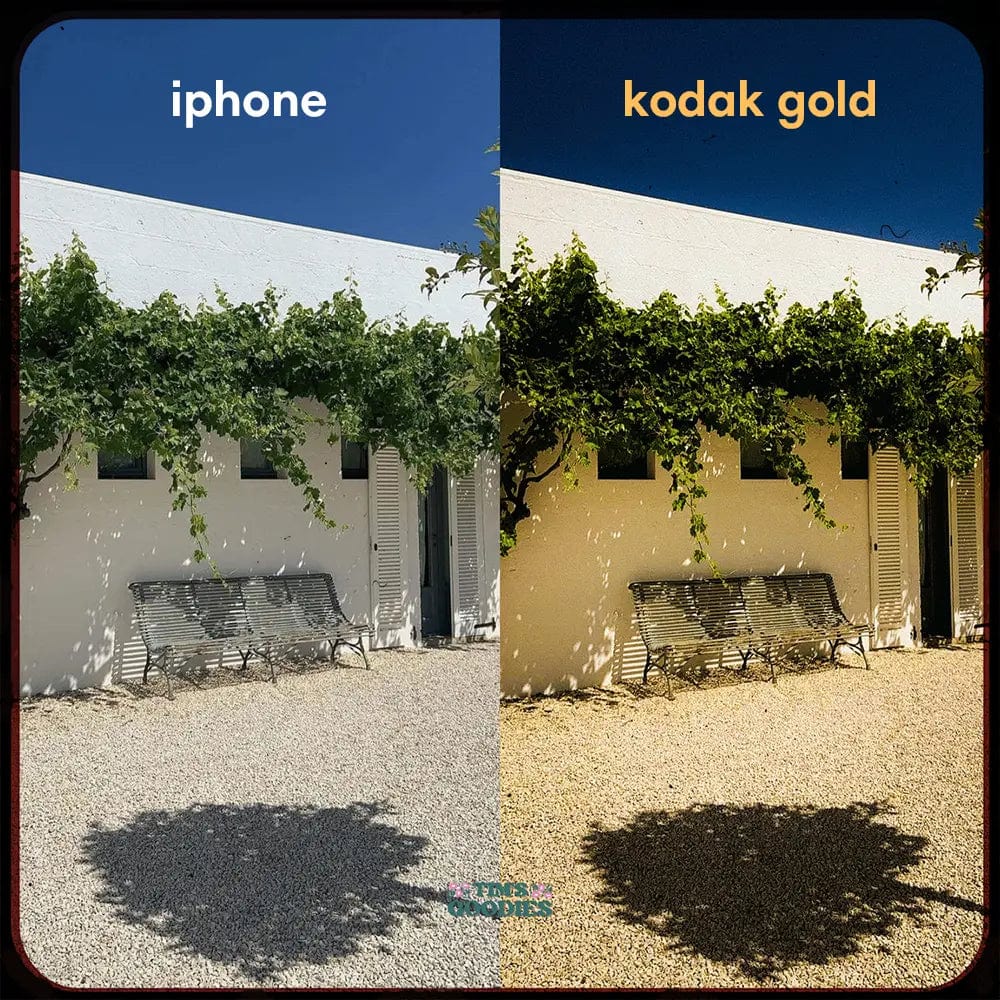 Kodak Gold Look